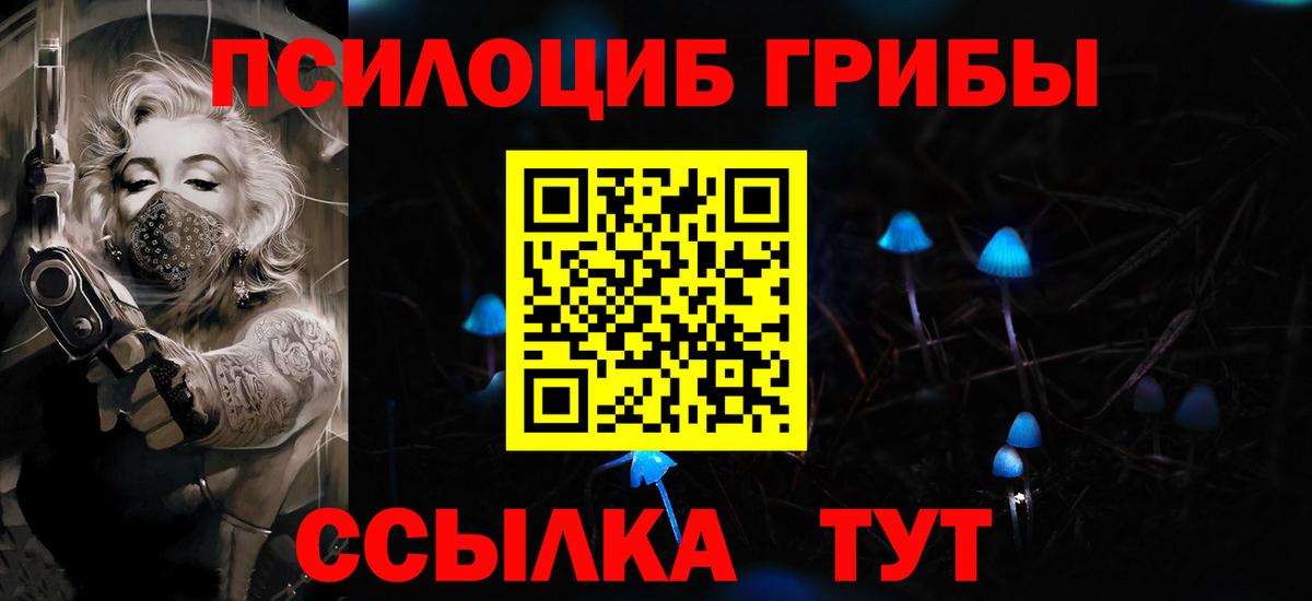 Галлюциногенные грибы прущие грибы  Вход с VPN  закладки  Гусиноозёрск 